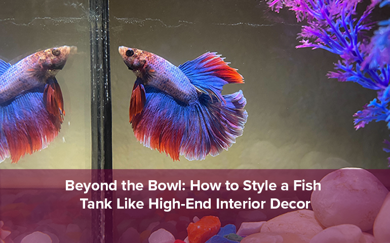Beyond the Bowl: How to Style a Fish Tank Like High-End Interior Decor